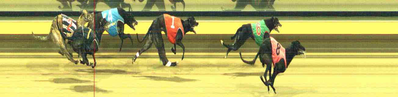Photo finish for Horsham Race 6