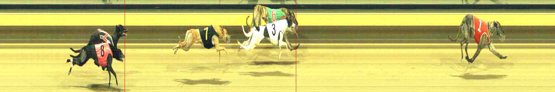Photo finish for Horsham Race 7