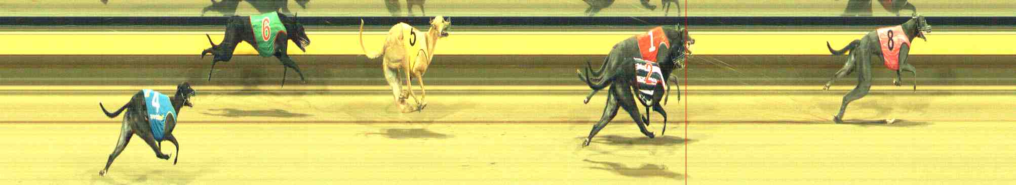 Photo finish for Horsham Race 8