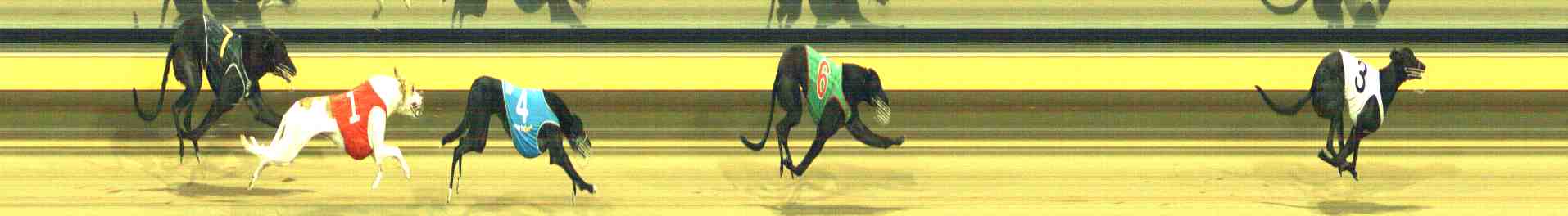 Photo finish for Horsham Race 9