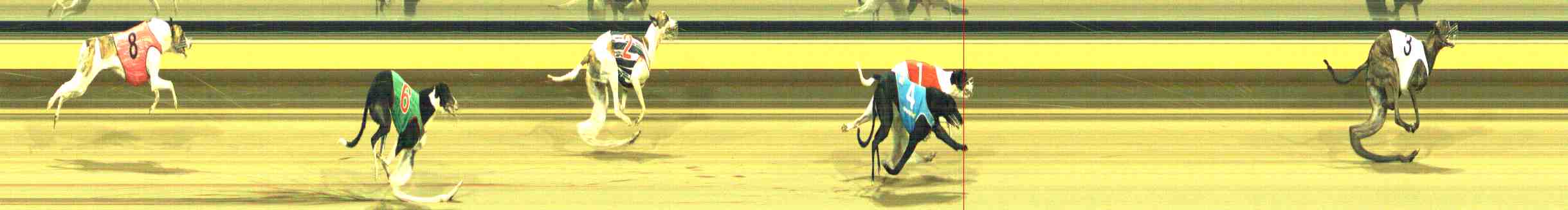 Photo finish for Horsham Race 10