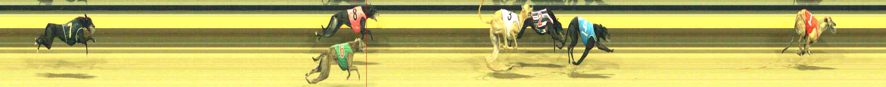 Photo finish for Horsham Race 11