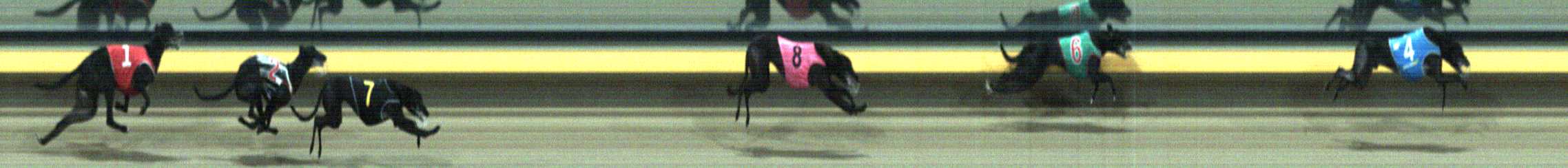 Photo finish for Horsham Race 12