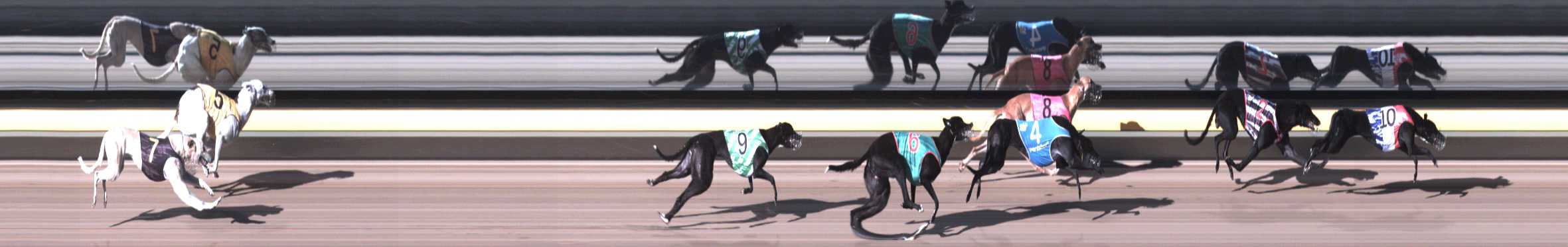 Photo finish for Horsham Race 1