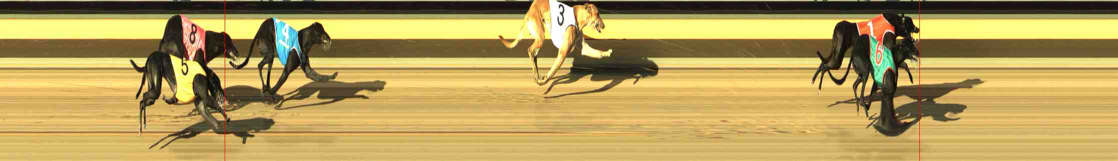 Photo finish for Horsham Race 2