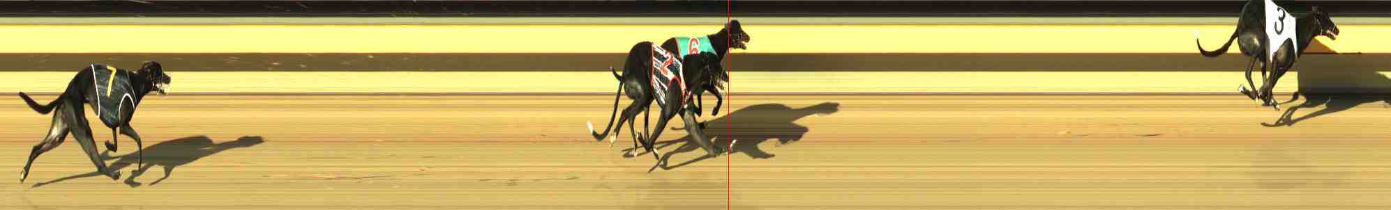 Photo finish for Horsham Race 3