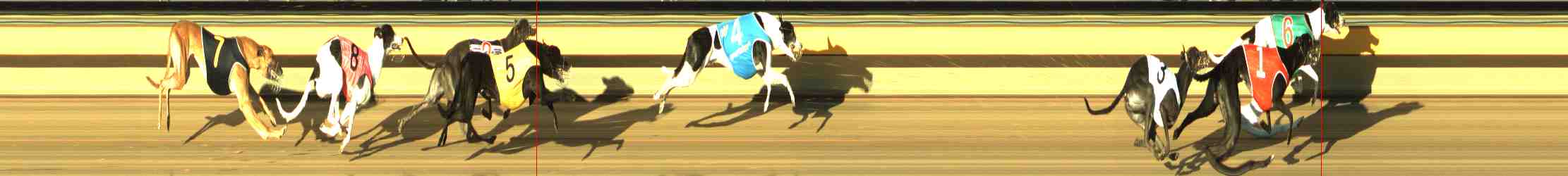 Photo finish for Horsham Race 4