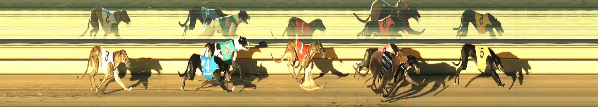 Photo finish for Horsham Race 5