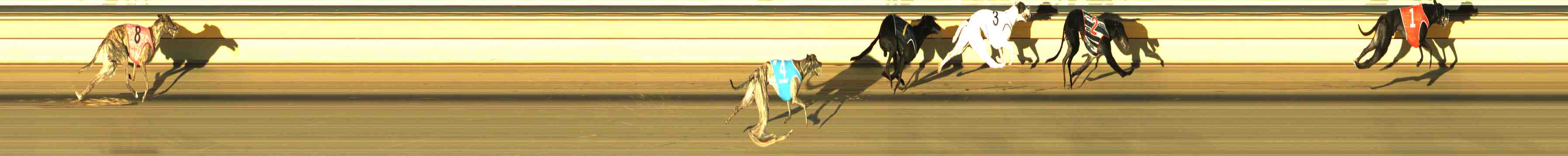 Photo finish for Horsham Race 6