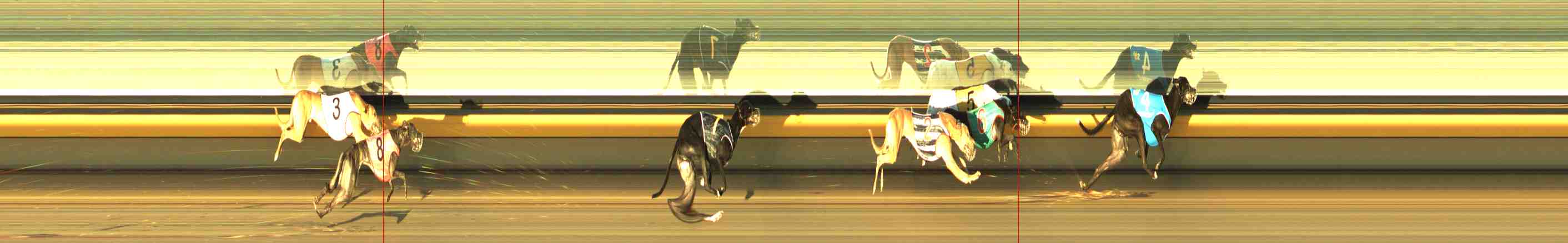 Photo finish for Horsham Race 7