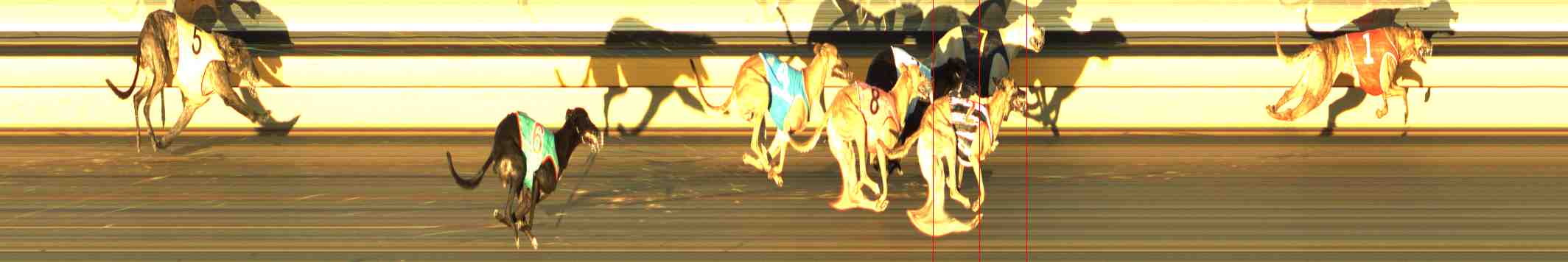 Photo finish for Horsham Race 8