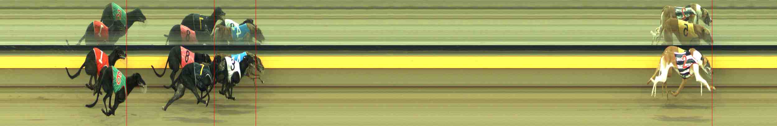 Photo finish for Horsham Race 9