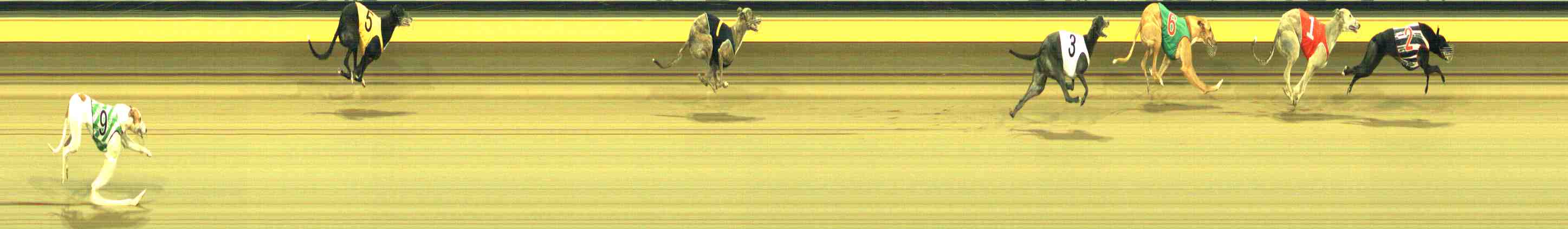 Photo finish for Horsham Race 10