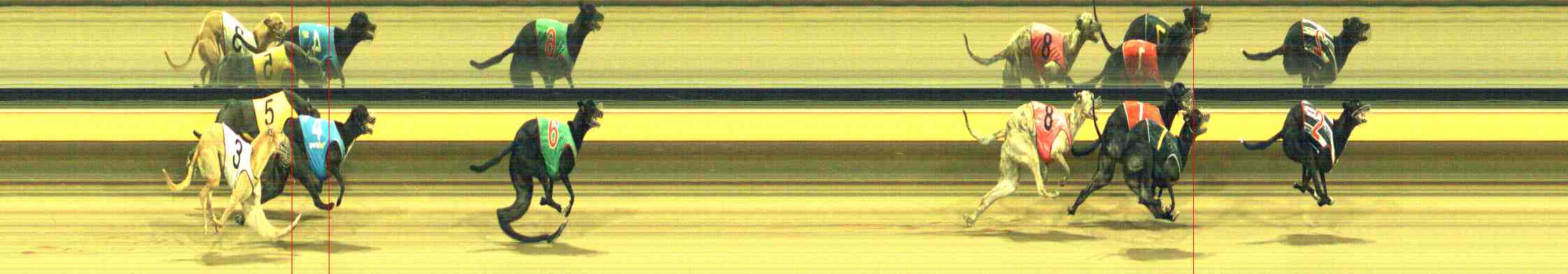Photo finish for Horsham Race 11