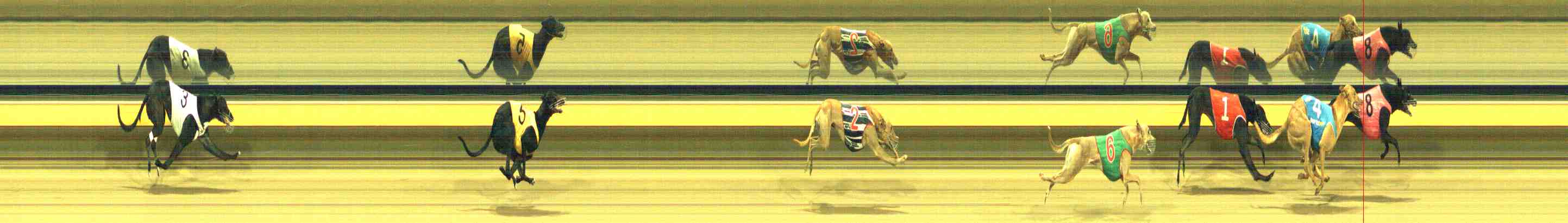Photo finish for Horsham Race 12