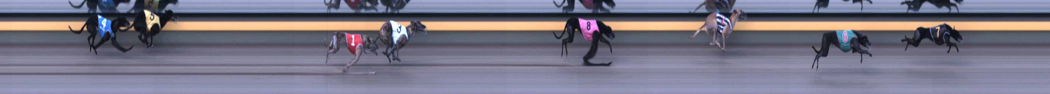 Photo finish for Horsham Race 2