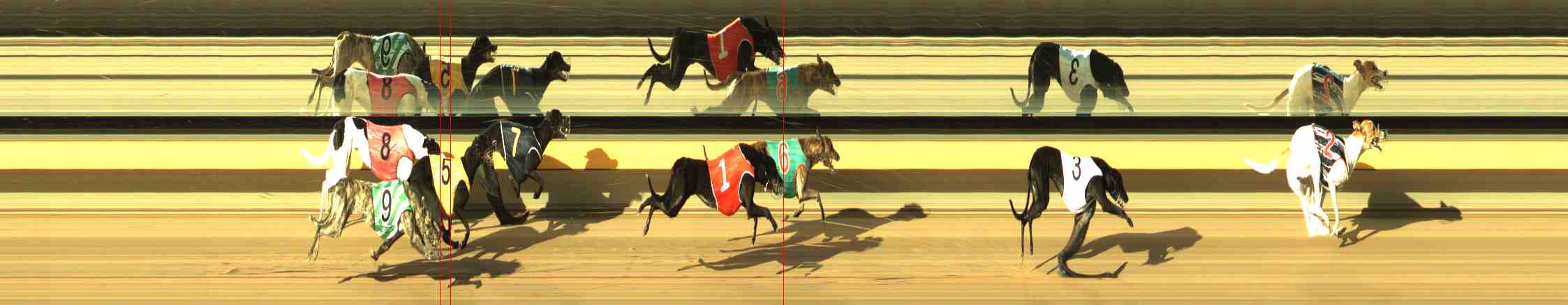 Photo finish for Horsham Race 3