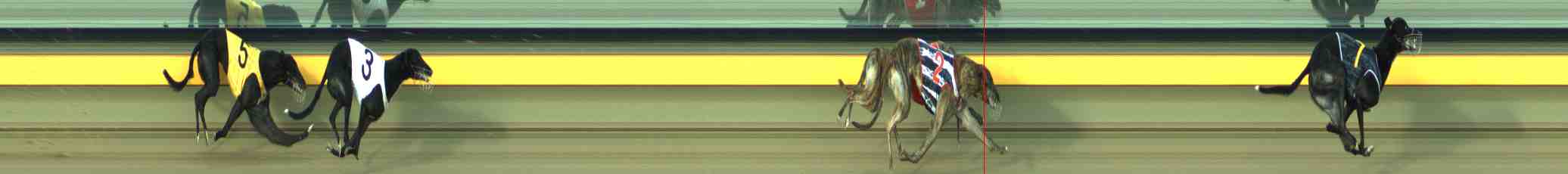 Photo finish for Horsham Race 4