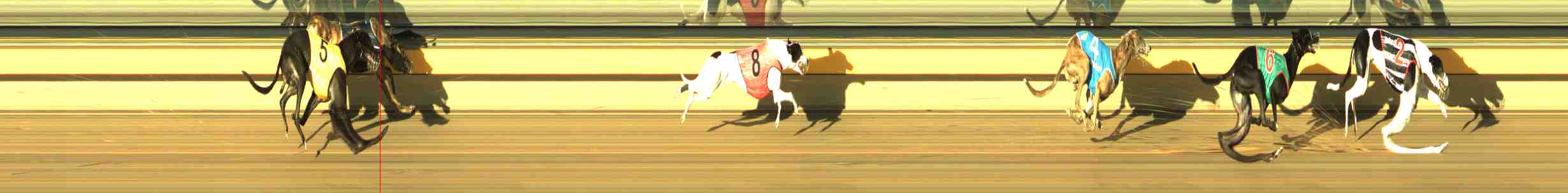 Photo finish for Horsham Race 5