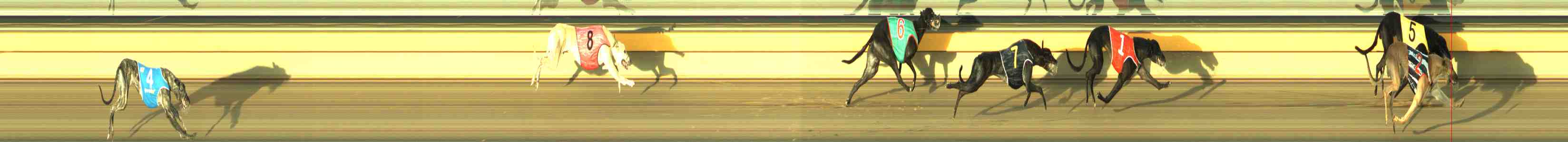 Photo finish for Horsham Race 6