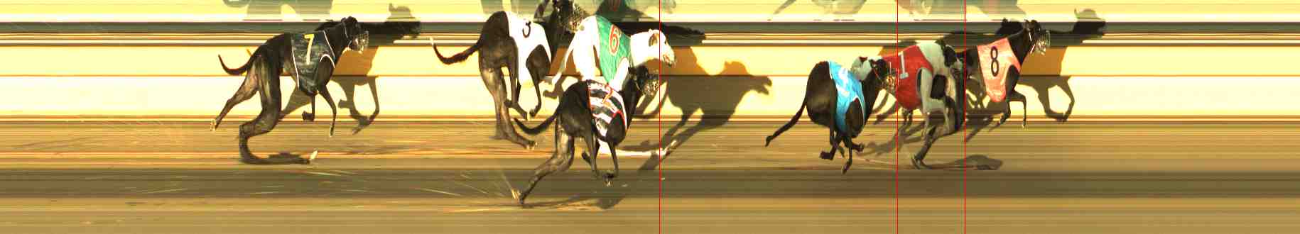 Photo finish for Horsham Race 7