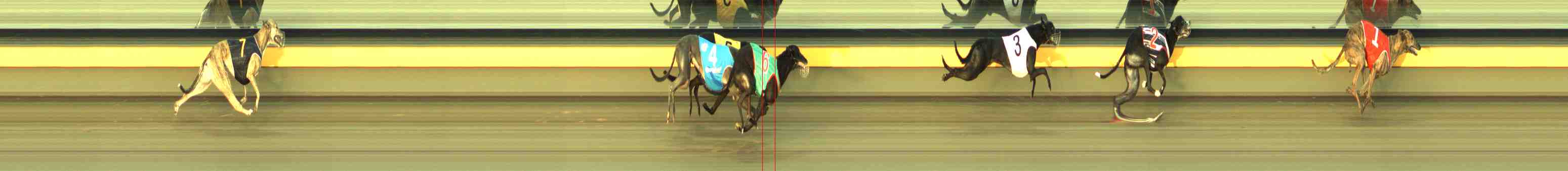 Photo finish for Horsham Race 8