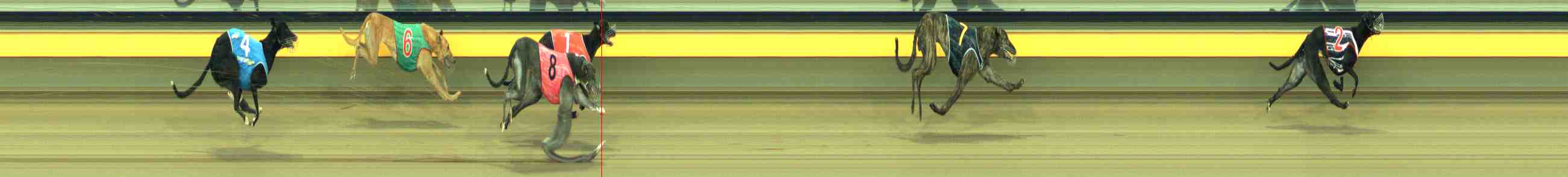 Photo finish for Horsham Race 9