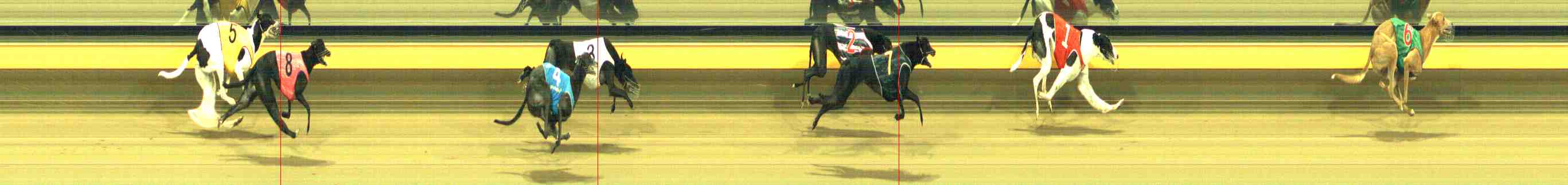 Photo finish for Horsham Race 10
