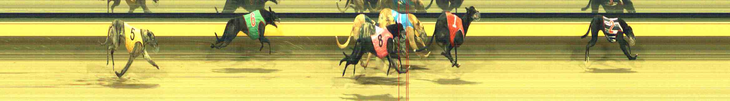 Photo finish for Horsham Race 11
