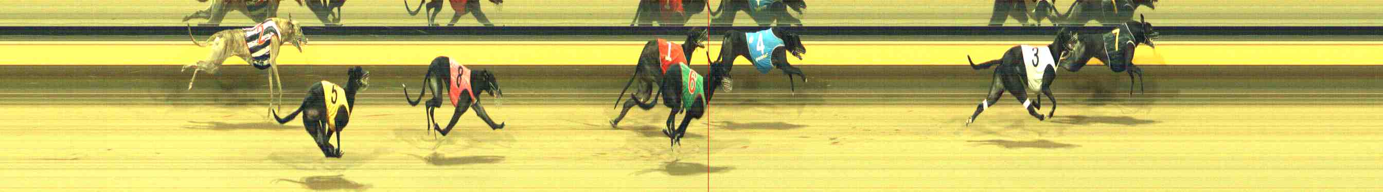 Photo finish for Horsham Race 12