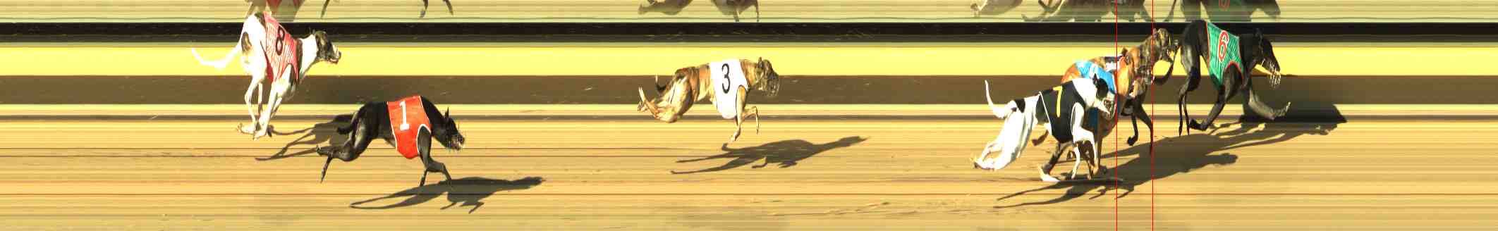 Photo finish for Horsham Race 2