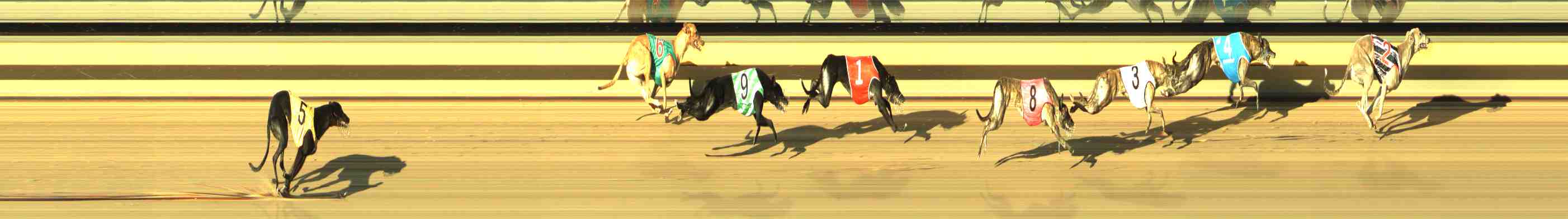 Photo finish for Horsham Race 3