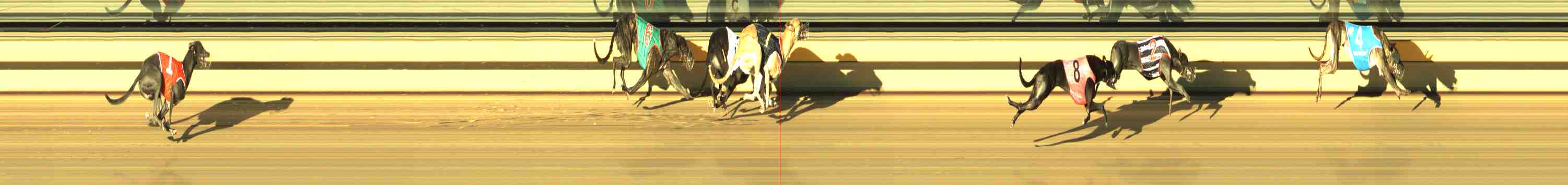 Photo finish for Horsham Race 4