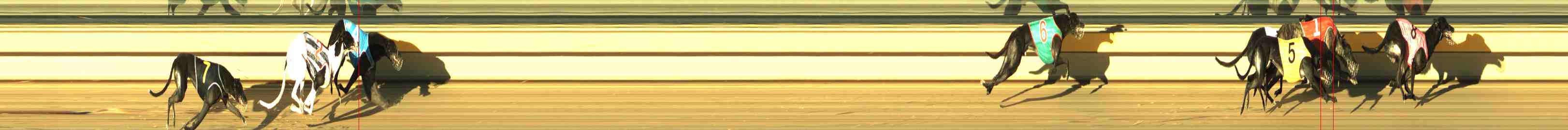 Photo finish for Horsham Race 5