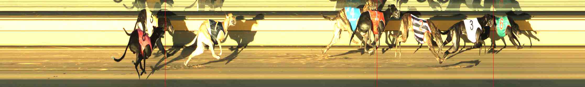Photo finish for Horsham Race 6