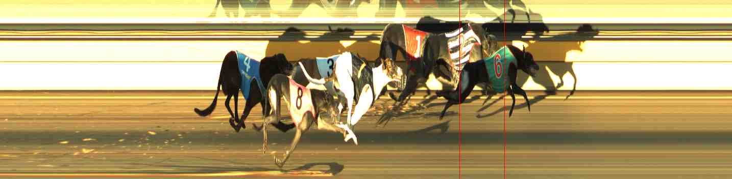 Photo finish for Horsham Race 7