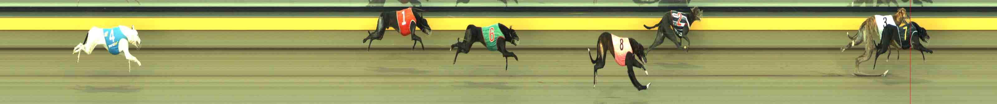 Photo finish for Horsham Race 8