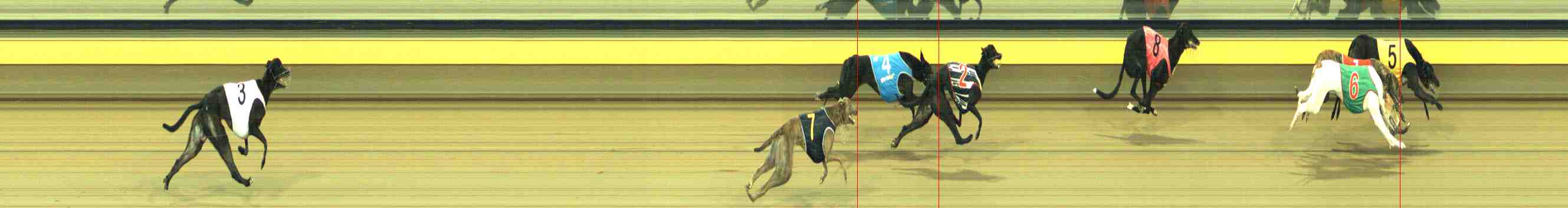 Photo finish for Horsham Race 9