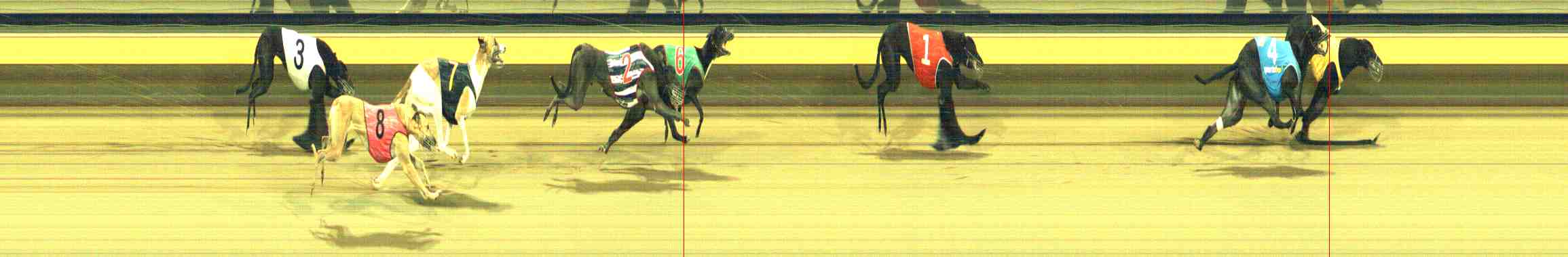 Photo finish for Horsham Race 10