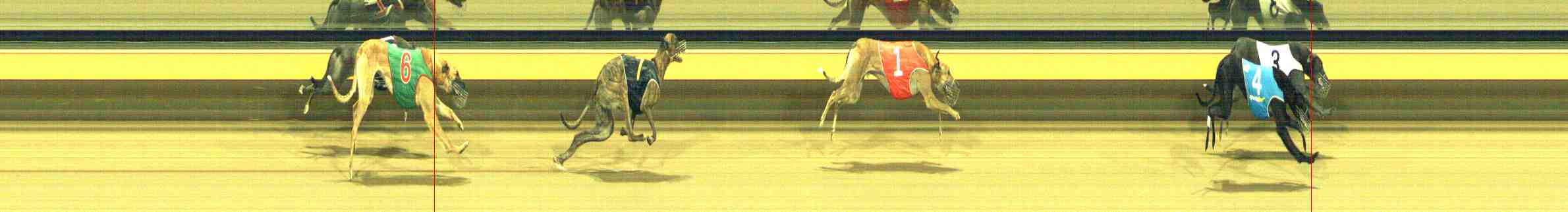 Photo finish for Horsham Race 11