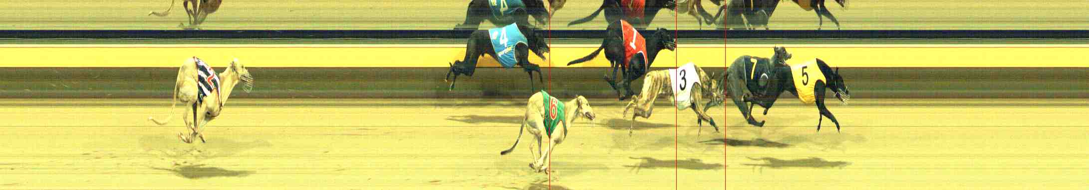 Photo finish for Horsham Race 12