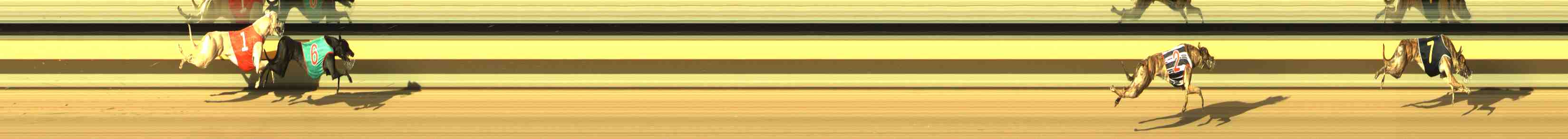 Photo finish for Horsham Race 1