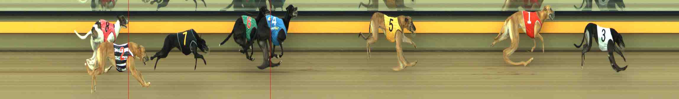 Photo finish for Horsham Race 3