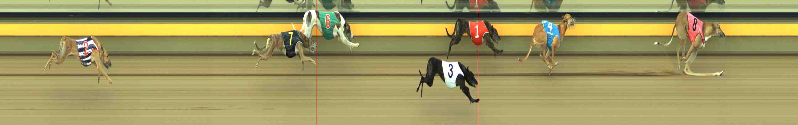 Photo finish for Horsham Race 4