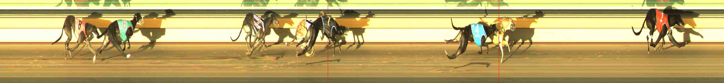 Photo finish for Horsham Race 5