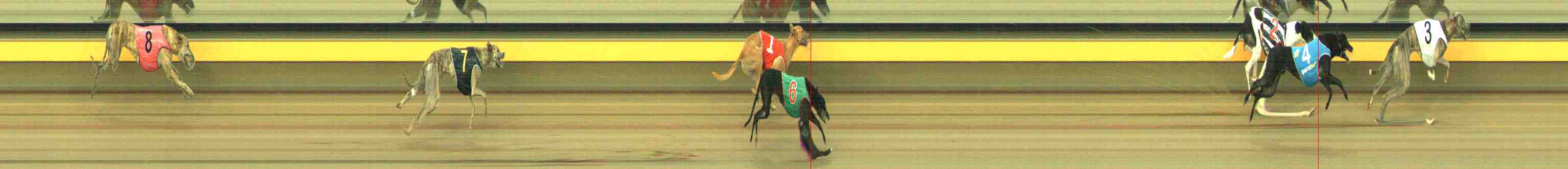 Photo finish for Horsham Race 6