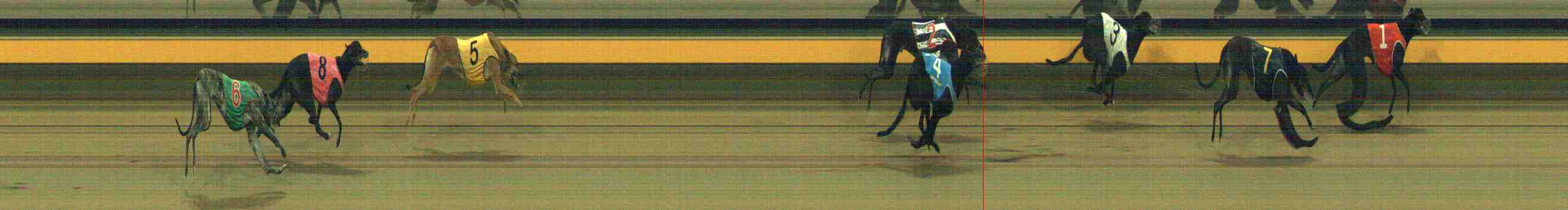 Photo finish for Horsham Race 7