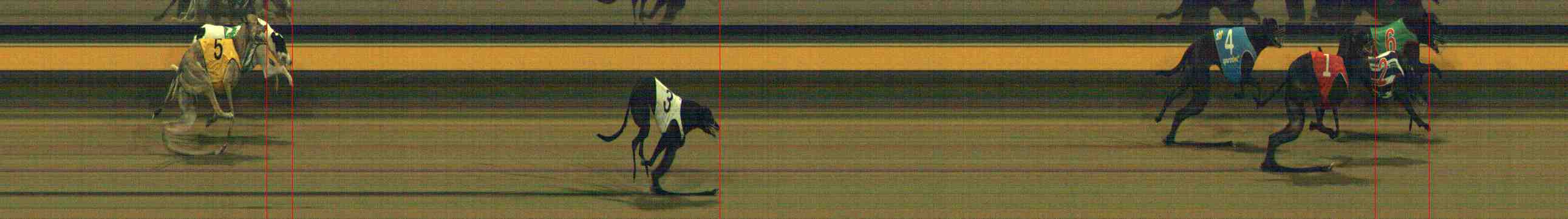 Photo finish for Horsham Race 8