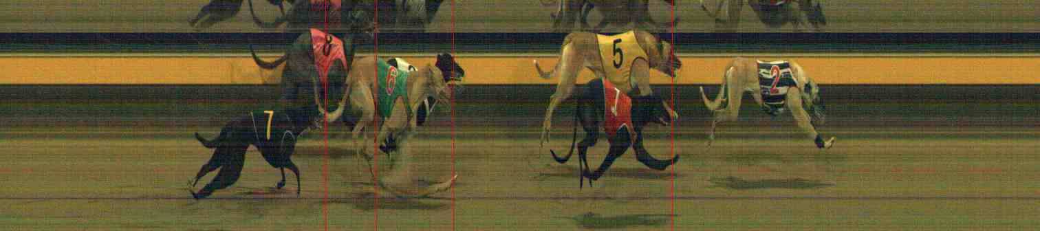 Photo finish for Horsham Race 9