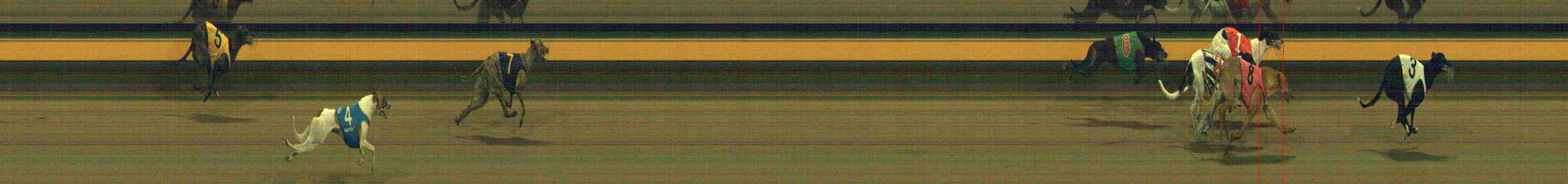 Photo finish for Horsham Race 10
